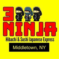 3 Ninjas Middletown Ny