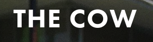 The Cow Soft Ice Cream Logo in Pleasantville, Pennsylvania