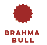 Brahma Bull North & South Indian Cuisine Logo in Fresno, California