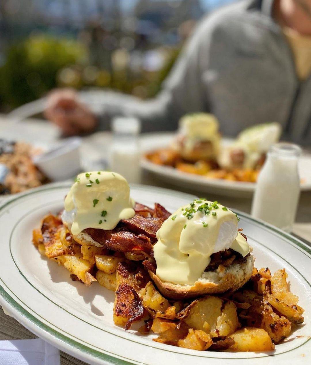 The Shed Restaurant Plainview menu in Plainview, New York, USA