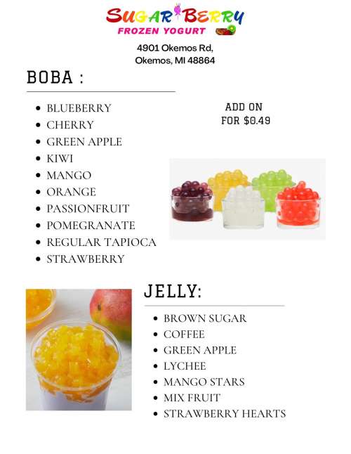 Sugar Berry Frozen Yogurt menu in Lansing, Michigan, USA