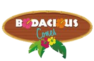 Bodacious Cones Irving Logo in Irving, Texas