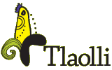 Tlaolli Logo in Indianapolis, Indiana