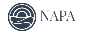 NAPA Thai Asian Cuisine Logo in Colleyville, Texas